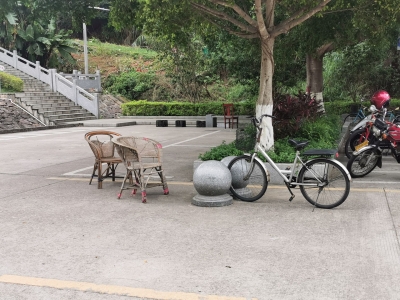 乱丢乱放、随意攀爬…这些不文明行为太“煞风景”