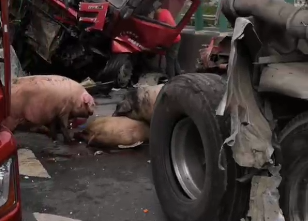 五车连撞，“二师兄”受了点伤！事发汕梅高速…