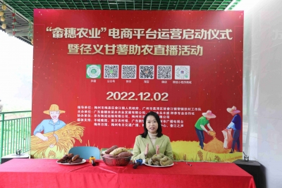 “畲穗农业”电商平台正式运营启动，让梅县农产品实现“出山入湾”！