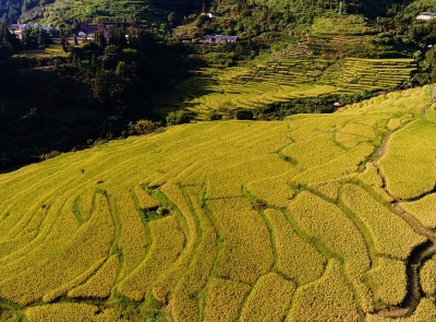 林东｜平远带“畲”字的地名与畲族