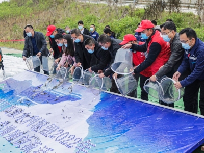 60万尾鱼苗放流韩江！高陂水利枢纽开展鱼类增殖放流活动