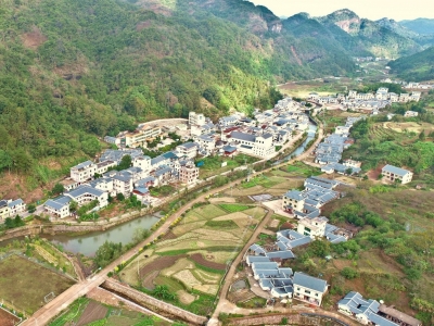 平远县上举镇：以党建为引领，奋力开创乡村振兴新局面