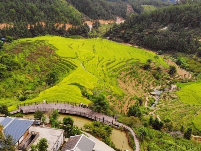 梅州平远梅畲村上榜！首批广东省乡村旅游优质项目名单公布