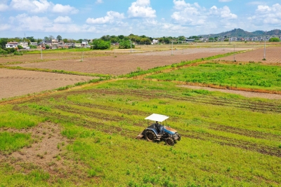 防止耕地撂荒，确保粮食安全！梅州印发最新《实施意见》