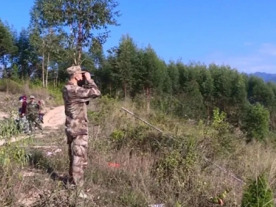 发挥瞭望站“前沿”作用！丰顺县这样筑牢森林绿色屏障→