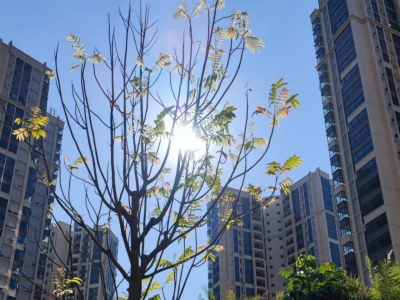 我市结束防冻Ⅳ级应急响应 