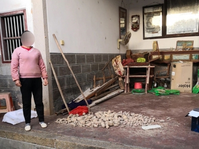 挖了2.5亩地！大埔3人“组团”偷地瓜，连地瓜藤也被顺走…