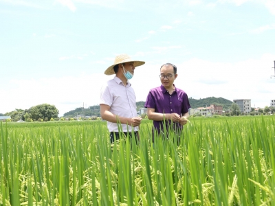 奋斗者 正青春丨平远县农业农村服务中心张小明：“继续为平远农业发展出力”