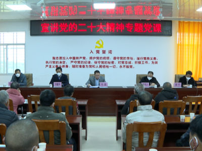 邓强到兴宁市龙田镇宣讲党的二十大精神