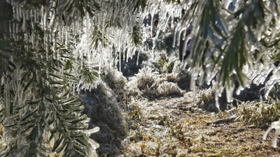 梅州启动防冻IV级应急响应