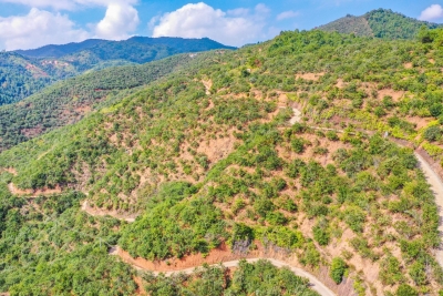 院企合作助推油茶发展！市农林科学院林业所与大埔油茶企业签订合作协议