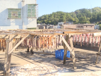 年味渐浓！五华县龙村特色熏鱼，具有烟火气的味道