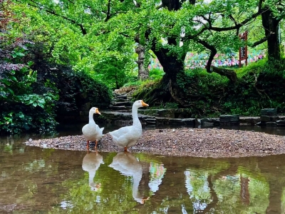 丘桂贤｜【俗语正解（三）】谈谈“拉差袋”的释义