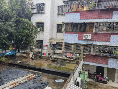 小区居民楼里养鸡鸭，邻里意见有点大！当事人回应……