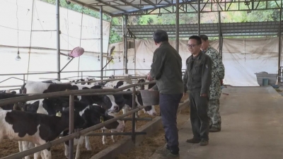 以“动”制“冻”！平远各养殖场筑牢畜禽越冬“安乐窝”