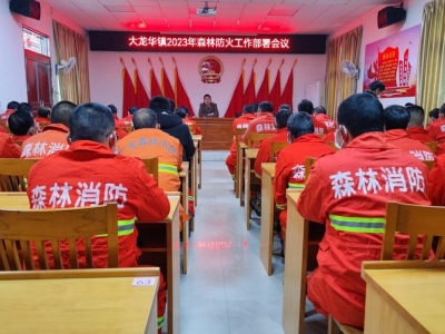 理论+实践，防患于未“燃”！丰顺县大龙华镇开展森林防灭火培训及演练活动