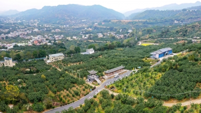 元旦假期走马梅州美丽乡村！一幅村美、业兴、民富的新画卷正徐徐铺展...