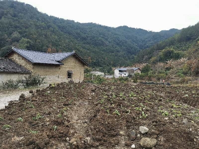 蕉岭县蓝坊重拳整治违建，严守耕地保护红线！