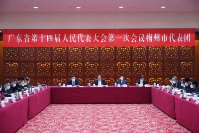 梅州代表团审议省政府工作报告，叶贞琴张海波马正勇王晖任小铁廖森泰黄伟忠等参加审议