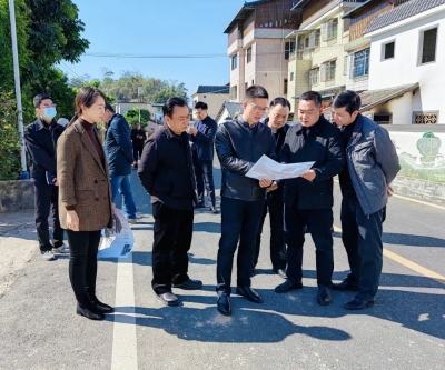 王锋到丙村镇、雁洋镇调研指导乡村振兴示范带创建工作