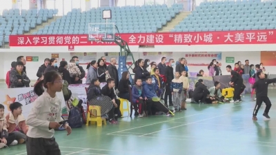平远县举办“贺岁杯”青少年羽毛球赛