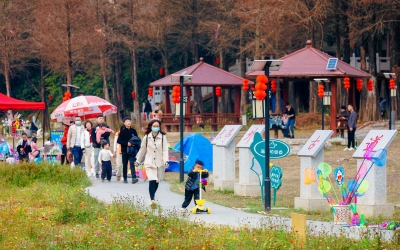 文旅部：春节假期全国国内旅游出游3.08亿人次