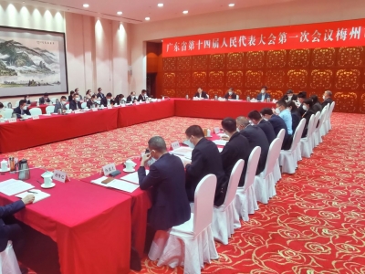 梅州代表团审议“三个报告” 叶贞琴张海波马正勇王晖任小铁廖森泰黄伟忠等参加讨论