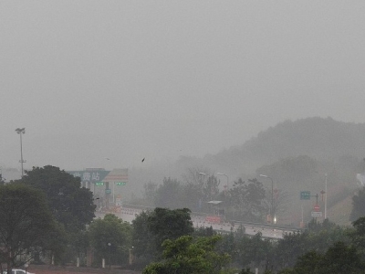 大雾弥漫！汕梅高速工作人员连夜指挥引导车流