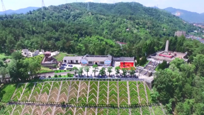 缅怀革命先烈，传承红色基因！春节假期大埔红色旅游人气旺