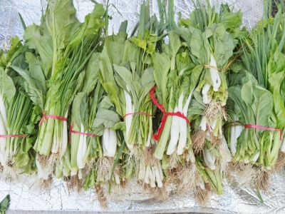 正月初七吃“七样菜”！哪七样？有什么寓意？