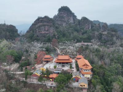 数百亩“梅”景如画！平远五指石景区暗香浮动~