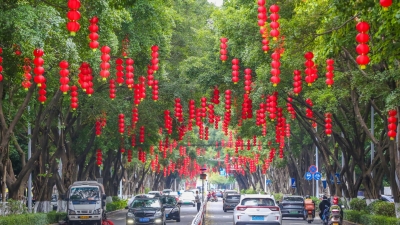 灯笼挂，年味起！梅城披“红装”啦~