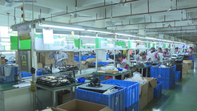 新年新气象！蕉岭企业“火力全开”抓生产，实干实效促发展