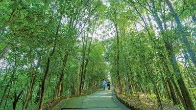 最高万元奖金！短视频征集来了，一起收集梅州森林的绝美时刻！