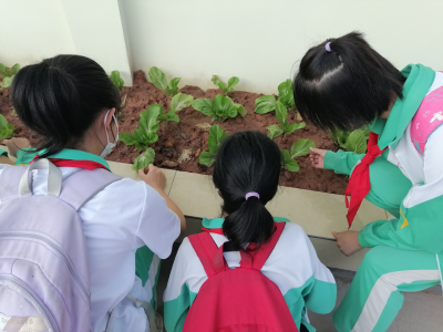 照片墙丨愉快的实践劳动