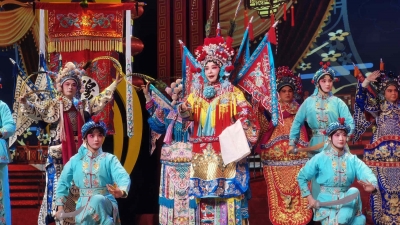 南国牡丹繁花似锦，新春佳节好戏连台！活动安排戳这里→