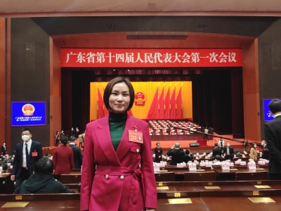 省人大代表刘琼提交建议：支持粮食产业规模化机械化发展