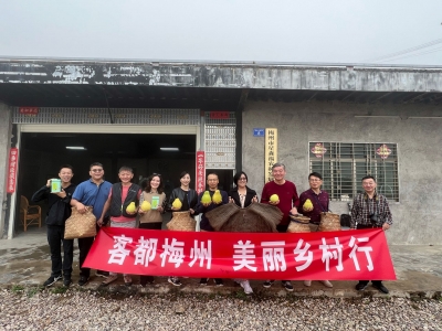 客都魅力引台青，梅江茶香助梦圆！