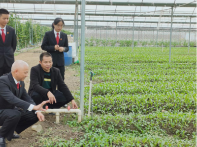 因钱款纠纷，灌溉设备要被拆！法官解调后下乡回访，百姓心中多感激！