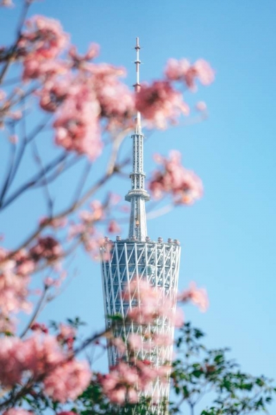 首次提出！广东奋力建设旅游业高质量发展示范省