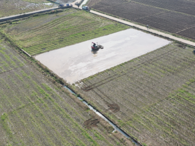 点“绿”成“金”！蕉岭新农人奋力谱写“春天里的故事”