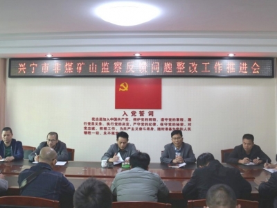 兴宁：迅速落实整改国家矿山安全监察局广东局抽查检查兴宁市非煤矿山反馈的安全隐患问题