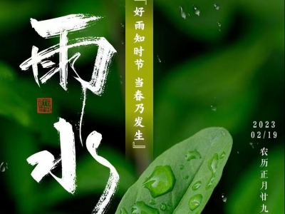 今日雨水丨春雨至，万物生
