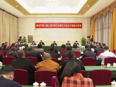 梅州市八届人大三次会议大埔县代表团审议市政府工作报告