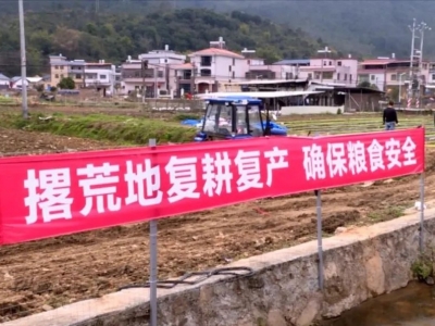 人勤春早争朝夕！驻镇扶村工作队助力丰顺乡村振兴迈上新台阶