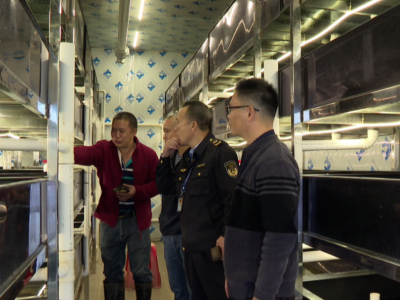 养殖技术送下乡，平远为水产增收“保驾护航”！