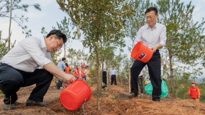 马正勇王晖杨朝晖王庆利参加2023年全省推进绿美广东生态建设义务植树活动