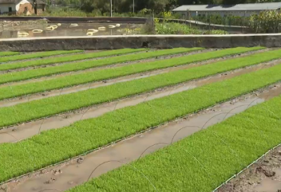 梅江区：农资储备充足 春耕保障有力