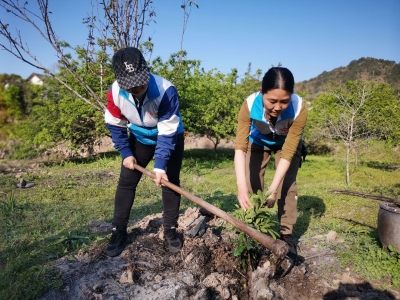 播种绿色希望，拥抱美好春天！梅江区四社区联动开展共建青年林活动