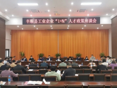 丰顺县工业企业“1+N”人才政策座谈会召开